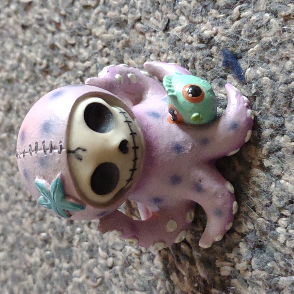 💀NWOT☠️Skeleton🦑Octopus🐙 - Picture 2 of 5